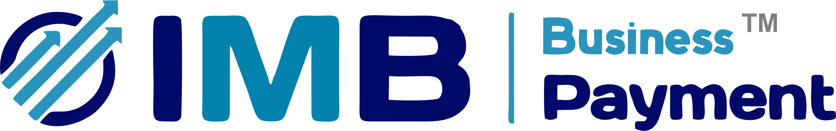 IMB Logo